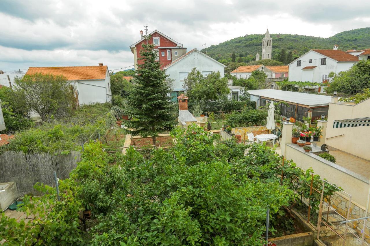 Apartments Maslina Božava Dış mekan fotoğraf