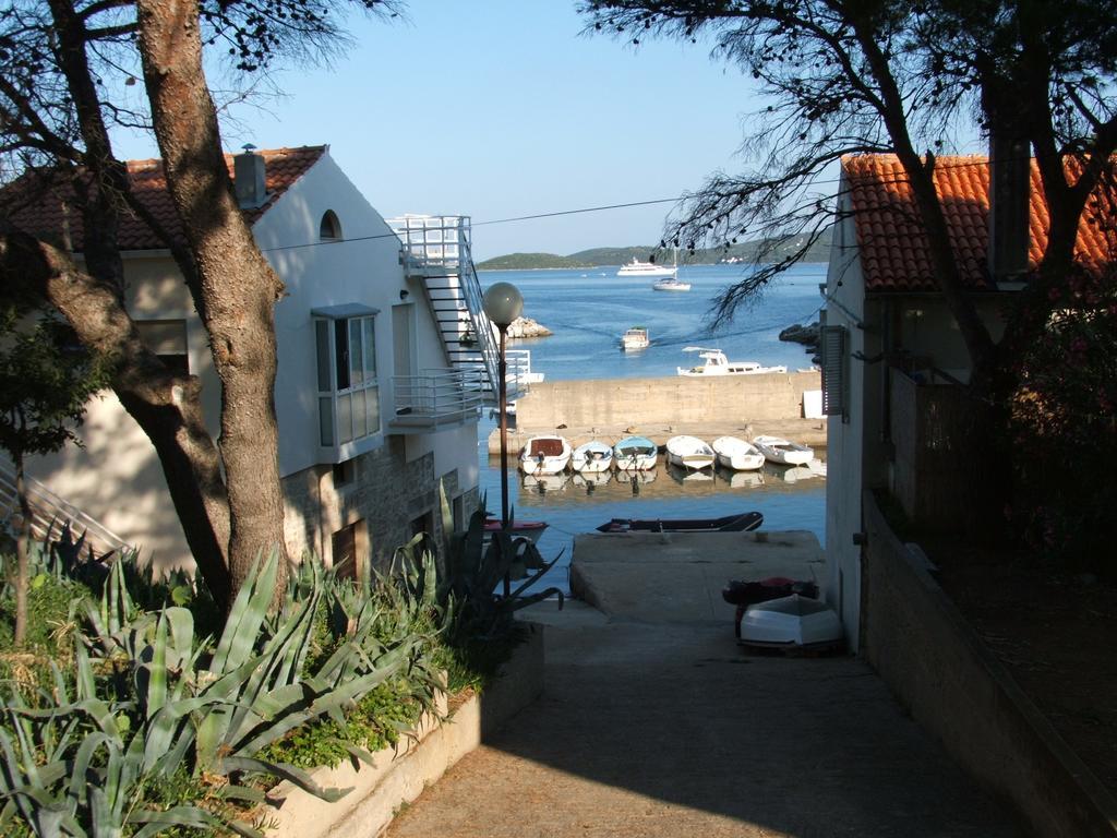 Apartments Maslina Božava Oda fotoğraf