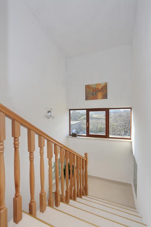 Apartments Maslina Božava Dış mekan fotoğraf