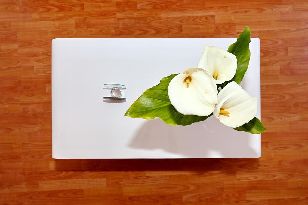 Apartments Maslina Božava Dış mekan fotoğraf
